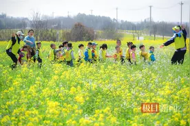 共赴春天之约！武汉江夏发布五大赏花春游线路图片