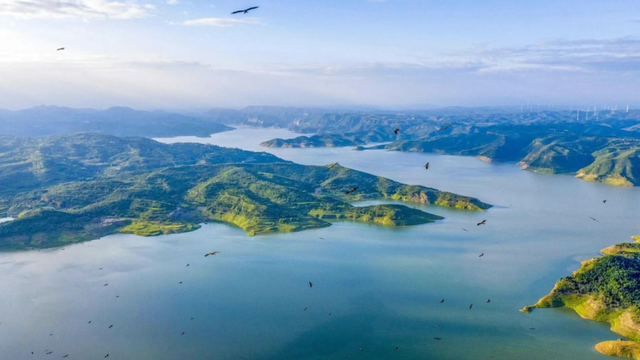 重返20°C+，洛阳极品好天气！速速出门！