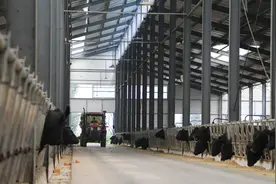 新春走基层｜记者手记：养殖园区里的振兴图景图片