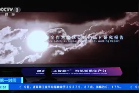 《人工智能安全作为全球公共产品》研究报告首发！加速“人工智能+”！图片