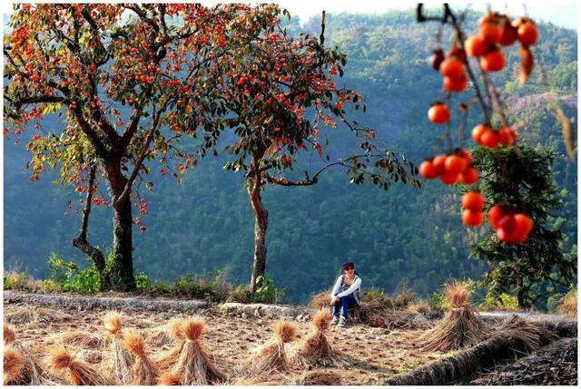 在衢江，最近必打卡的四件事，诗意又治愈！