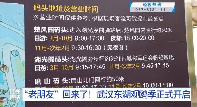 来自西伯利亚的“老朋友”回来了！武汉东湖观鸥季正式开启！