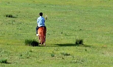 乐跨山海，唱游草原