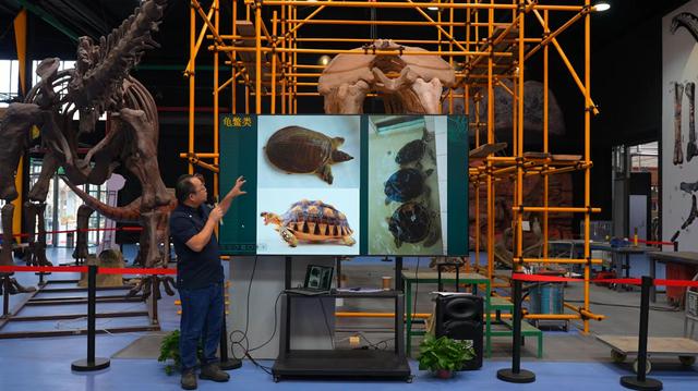 中国科学院第八届科学节——中国科学院古脊椎动物与古人类研究所活动在世园拉开帷幕
