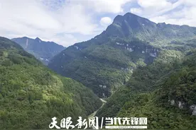 贵州大沙河保护区：“智慧”守护珍稀物种图片