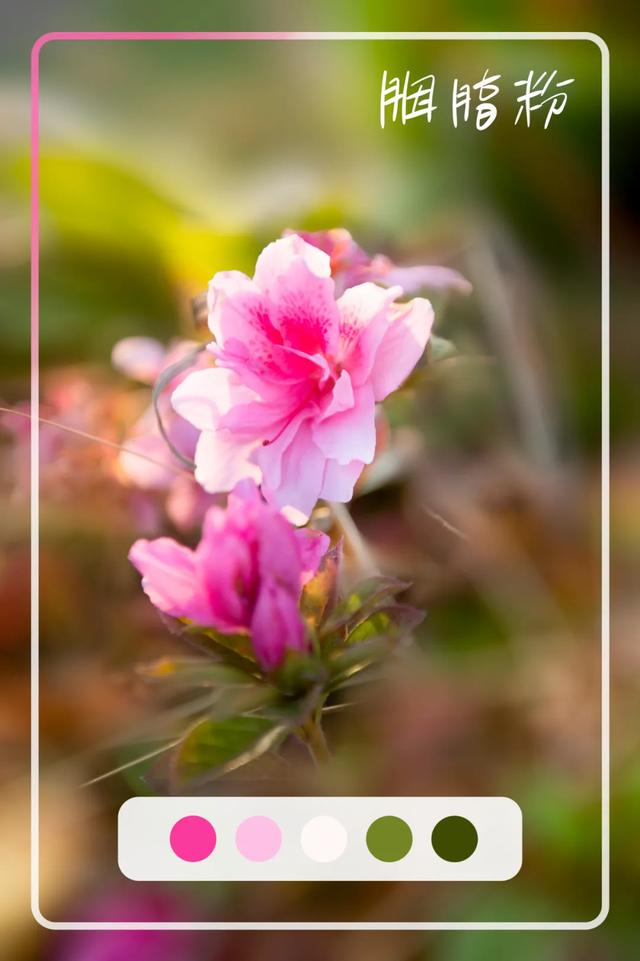 @0731，一组绿心秋色卡，请查收！