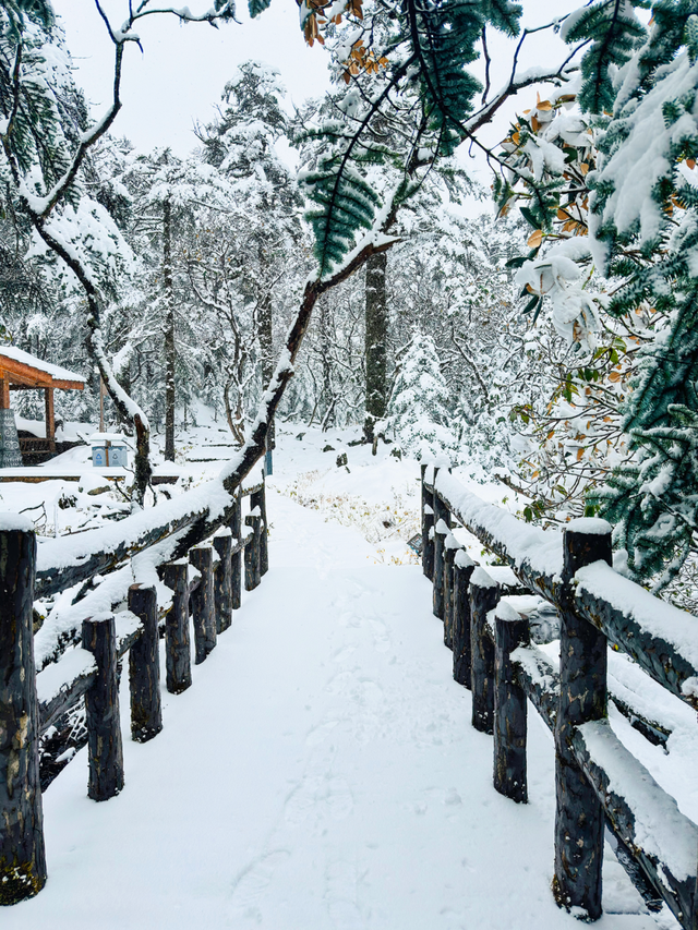 凉山冬日私藏路线，一天解锁“冰与暖”的双倍治愈