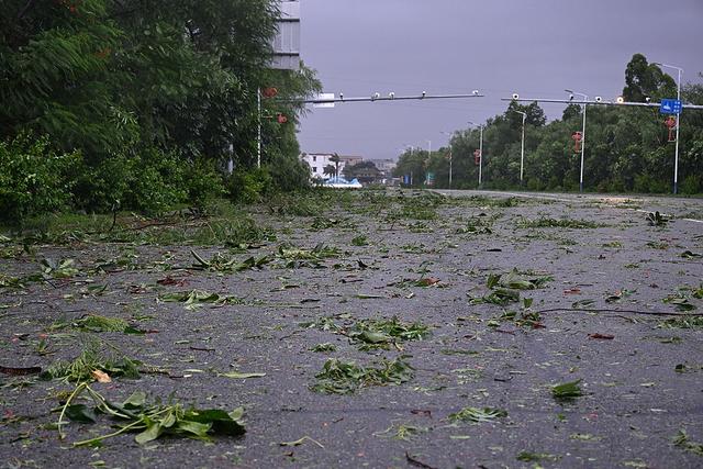“韦帕”已登陆 为何强风暴雨仍不停