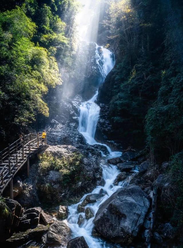 和顶流博主做旅行“搭子”，是种什么体验？