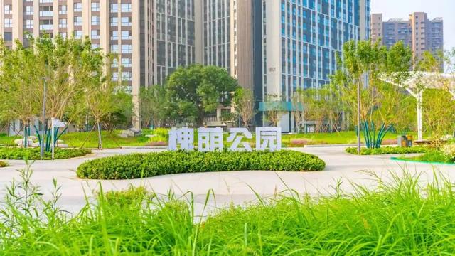 副中心首个一级古槐主题公园亮相运河畔