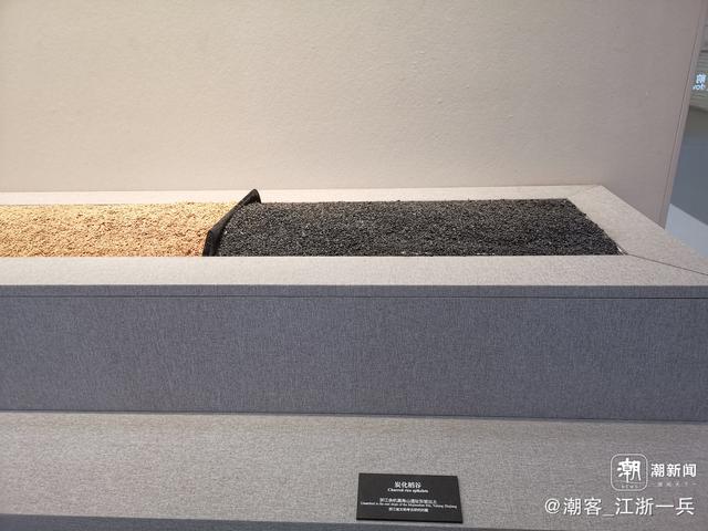 写点生活｜重阳节前游良渚