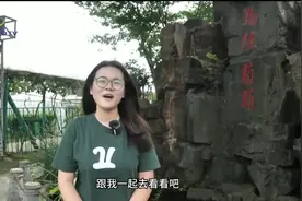 马陆葡萄品种多模样俏 巨峰和阳光玫瑰马上到视频封面