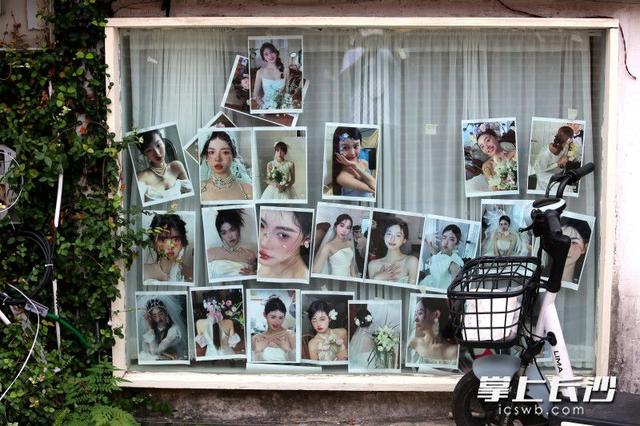组图｜艺术后湖好打卡