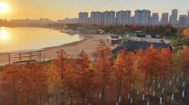 冬韵染南海 一帧一景皆画境