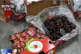 车厘子飘洋过海一个月到中国，为什么还那么光鲜亮丽？图片