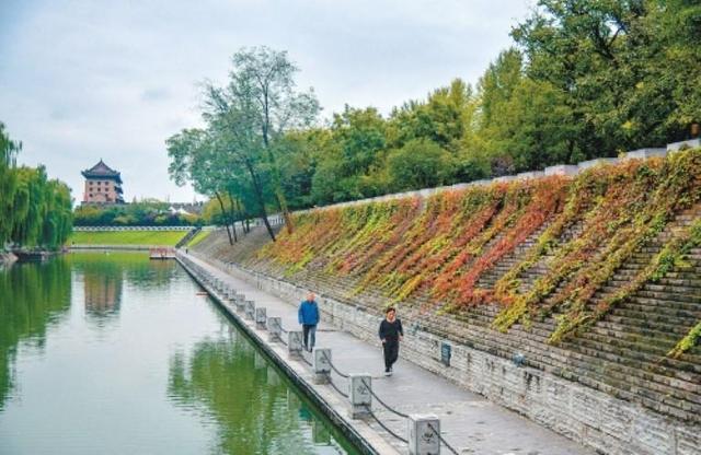 秋染长安色斑斓　霜落成诗醉流年
