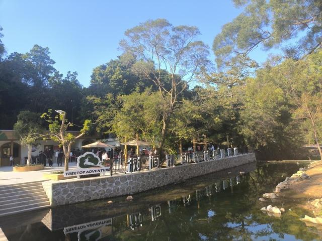 风穿林叶绳渡树间 龙岗园山这片营地邀您体验“飞檐走壁”