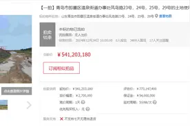 融创在青岛的四宗地块一拍流拍，起拍价约5.41亿元图片