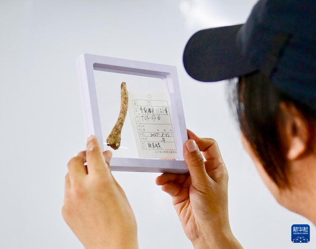 新华社丨徒步山野间 守护红山文化