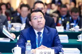 直击百人会论坛 | 吉利汽车集团CEO淦家阅：燃油车仍是市场重要组成部分，未来将坚持多元化战略图片