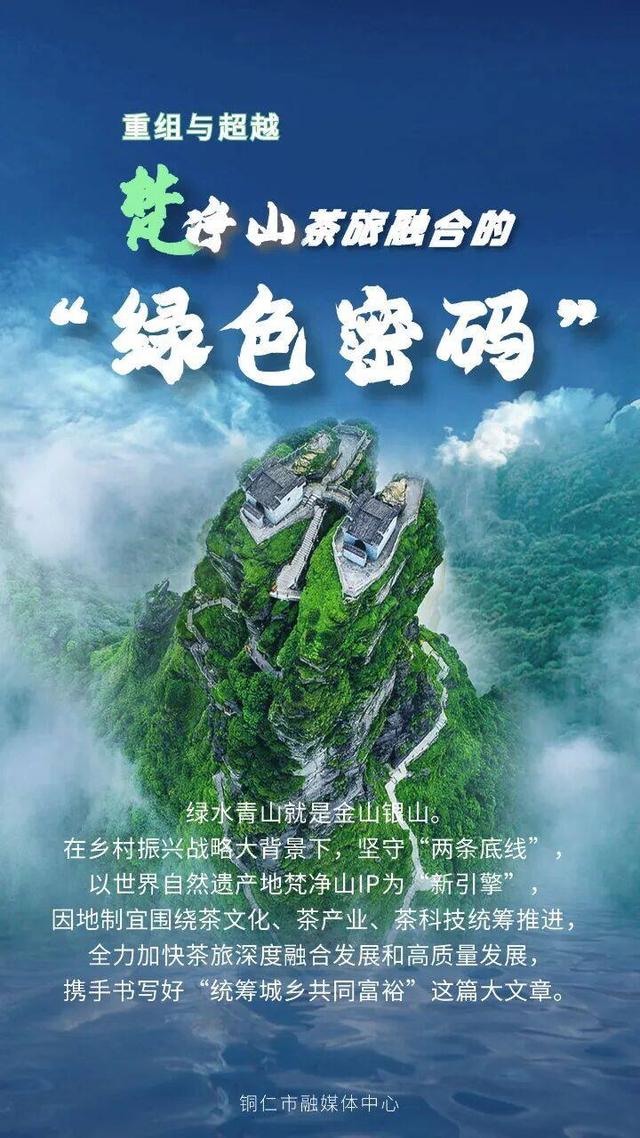 【深度】重组与超越：梵净山茶旅融合的“绿色密码”