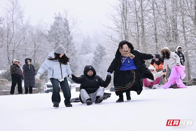 大寒时节雪纷飞 张家界国家森林公园雪景如画