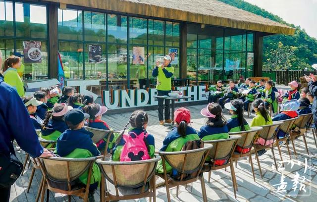 画卷天府·熊猫盛典｜从靠山吃山到养山富山：平武高村乡的生态振兴实践与启示