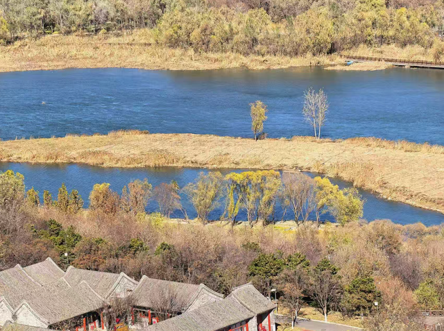 园博园初冬，赴一场静美之约