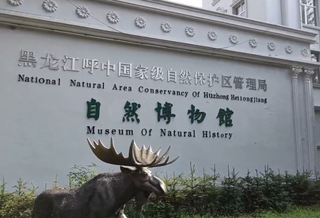 清凉之约 畅游兴安丨中国“最冷小镇”呼中：在林海深处邂逅秋与时光