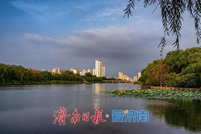 邂逅生态秘境！济南腊山湖公园藏着这样的绿意天地 | 一年四季 泉在济南