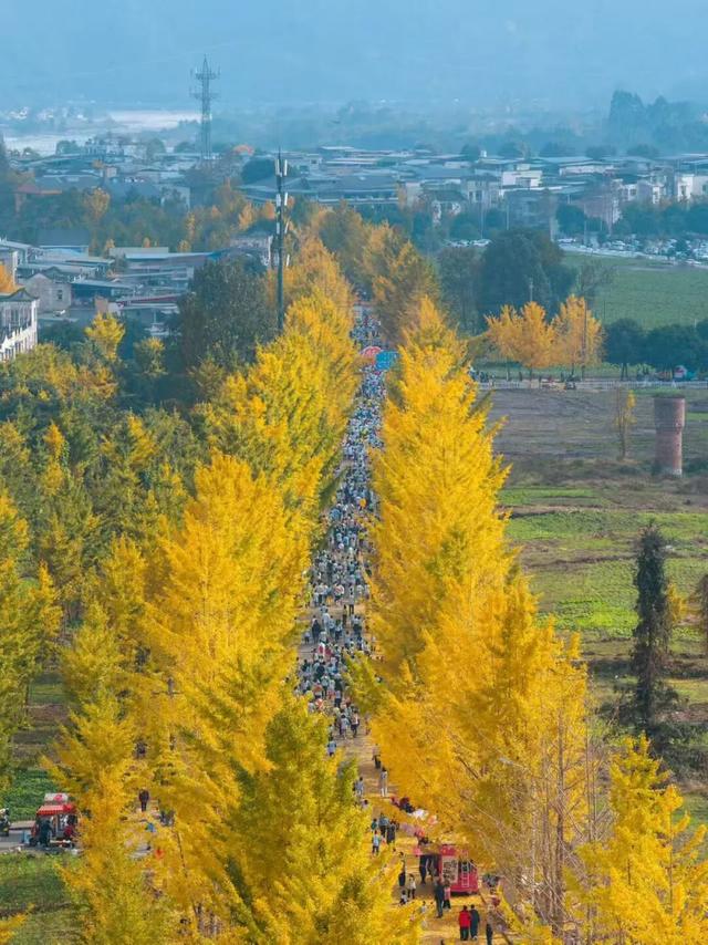 别再瞎找了！这张“黄金版图”全是惊喜