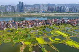 一边旱一边涝，广西天气咋回事？图片