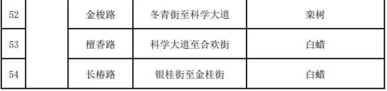 郑州这54条落叶不扫景观道，速来打卡！