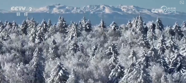从“观赏”到“玩转” 冰雪消费新趋势、新亮点持续拓展冬季消费新空间