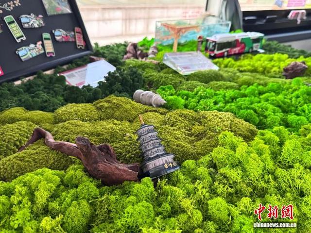 西湖“上新”夜游观光巴士  解锁夏夜多重别样体验