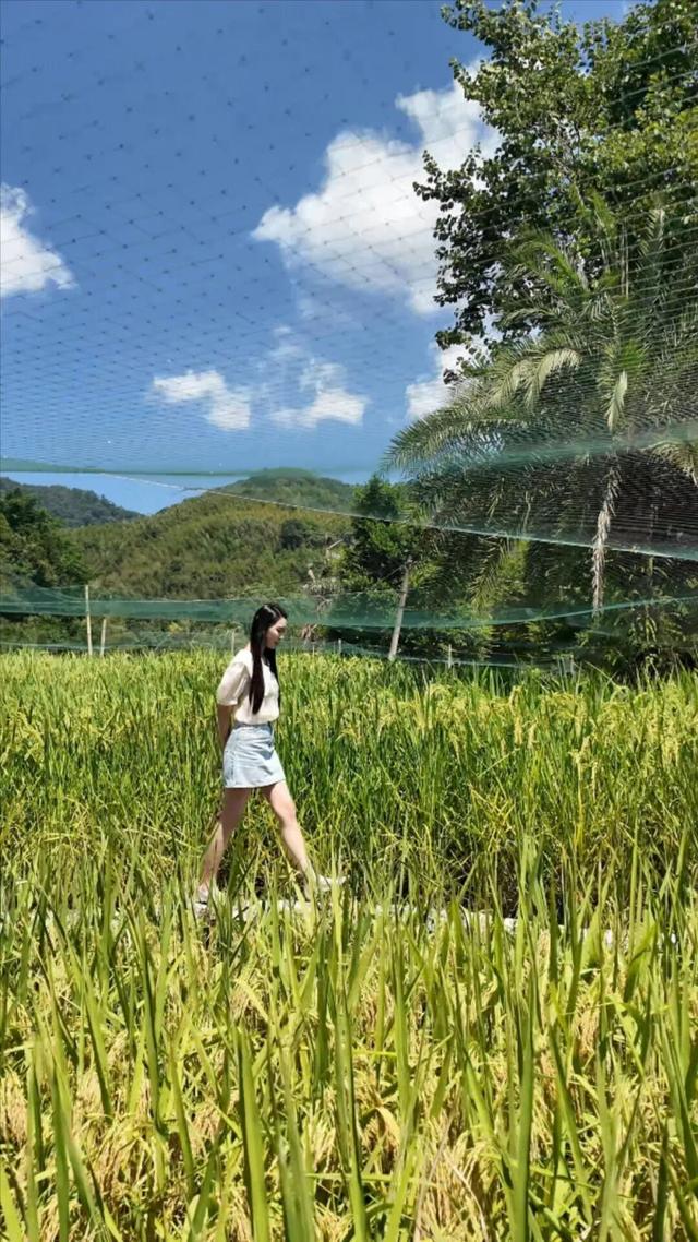 邂逅自然,安于野趣!闽侯营地上新,等你来野