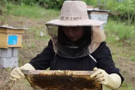 广西妹子远嫁湖北恩施，酿就致富好“蜂”景图片