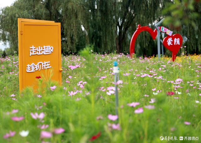 盛夏花潮，自然绮梦