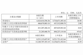星宇股份：2023年上半年净利润4.67亿元 同比增长2.00%图片