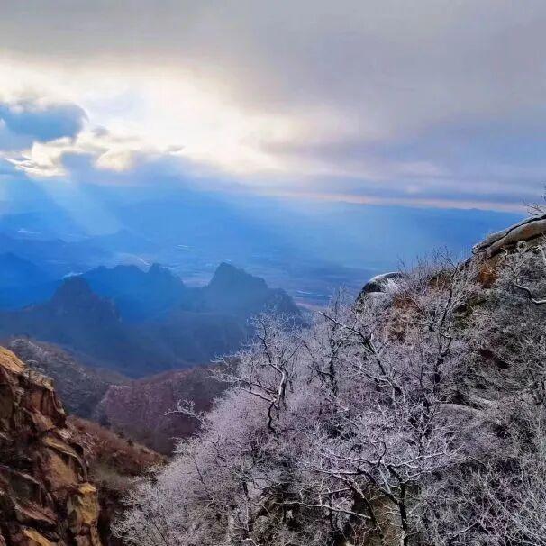 雪山、雾凇、云海......我就这样被辽冬轻松“拿捏”