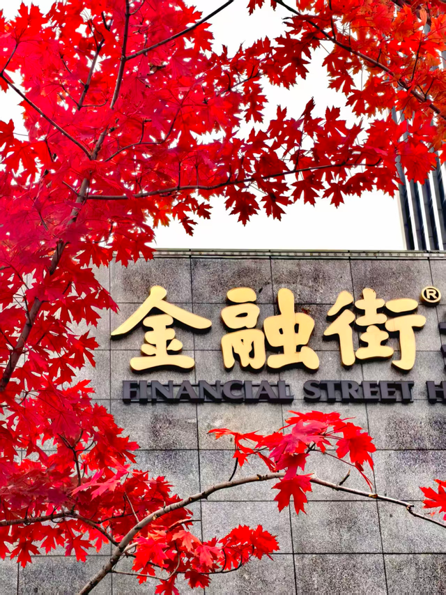 层林尽染时，邂逅北京的秋日斑斓