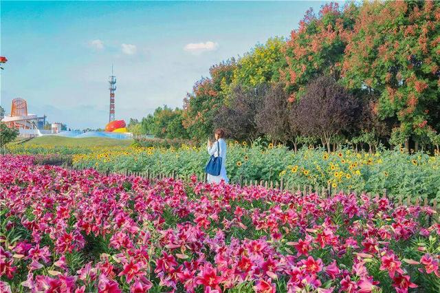 组图|黄海1号，331公里的秋日画廊