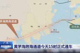 超级工程，今天正式通车！图片