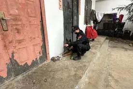 汪汪队立大功！“发仔”，好样的！图片