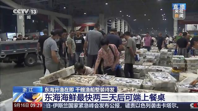 开渔后你最想吃哪种海鲜