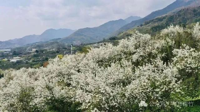 今天起，德阳将有一个新名字！