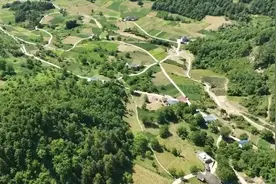 重庆巫溪：高山贝母喜丰收 村民种出致富路图片