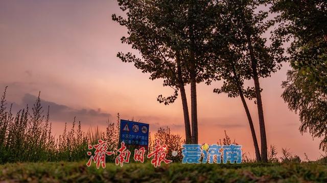 一年四季 泉在济南丨济南龙湖湿地公园：傍晚落日绘就诗意长卷