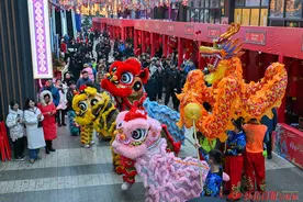 怀景怀乡怀味·图组 | 诗意非遗 “龙”重登场图片