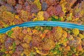 一周看天下|北马其顿马夫罗沃国家公园的秋景图片